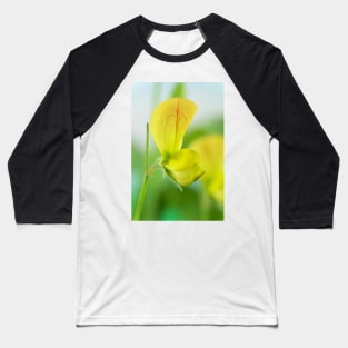 Lathyrus chloranthus  Yellow sweet pea Baseball T-Shirt